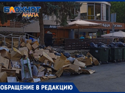 Свалка в самом центре в разгар сезона и отсутствие ответа «Экотехпрома» - анапчане о ситуации с мусором 