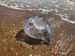 В Анапе, 3 октября снова можно было купаться: воздух +24, вода в море +22 градуса 