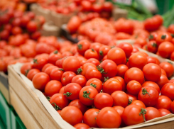 На прилавки анапских магазинов вскоре вернутся турецкие помидоры