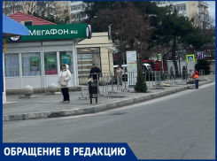  На Красноармейской несколько месяцев зияют ямы под саженцы, а на Высоком берегу опять сухие деревья