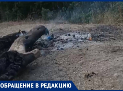 Анапчанка бьет тревогу: «Рыбаки и не только» не соблюдают правила пожарной безопасности