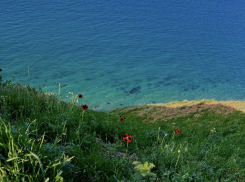 В День бывших супругов в Анапе будет облачно с прояснениями