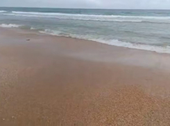 Стали известны результаты мониторинга пляжей Анапы 21 апреля