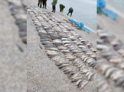 Улов на 7 миллионов рублей: порыбачили и анапчане