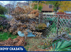 Наталья Грачёва считает, что в Анапе на ул. Тургенева творится бардак с вывозом мусора