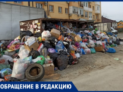 Любовь Спицына возмущена горами мусора на улице Солнечной в Анапе