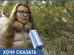 «Поездка в общественном транспорте подобна пытке»: анапская художница предлагает запустить троллейбусы