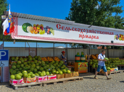 На придорожных ярмарках под Анапой появятся туалеты, беседки и детские площадки