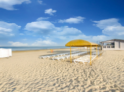 Афера на 700 миллионов: как детский лагерь в Анапе превратился в финансовую пирамиду