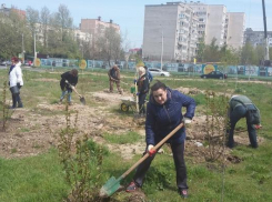 В Анапе появился вишнёвый сад в память о погибших в пожаре в Кемерово