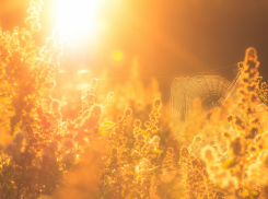 3 июля в Анапе поднимется температура