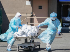 Сегодня на Кубани рекордное число умерших от COVID-19