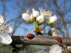 В Анапе продолжает господствовать тепло