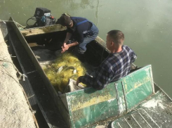 Анапские полицейские задержали браконьеров: улов рыбакам обойдется дорого