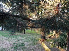 В День рождения комсомола в Анапе по-прежнему тепло