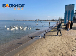«Никакая заграница этим не похвастается»: в Анапе только солнце и тепло 