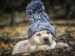 Погода в Анапе на 19 декабря