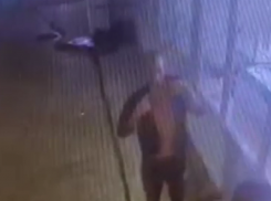 В Анапе мужчина ограбил своего знакомого и ударил его