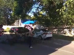 Смертельный ветер повалил дерево, которое убило ребёнка в Краснодаре