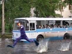  Анапчанин по ошибке побил все рекорды, собираясь на работу...