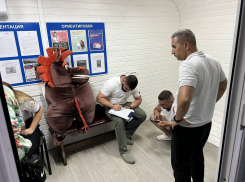 В Анапе оштрафовали коней и не только: кого еще поймали на рейдах