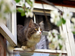 Сегодня, 18 мая, в Анапе станет жарче