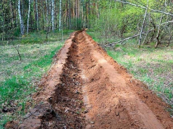 Чтобы не повторилась трагедия «Утриша»: в Анапе создадут минерализованные полосы
