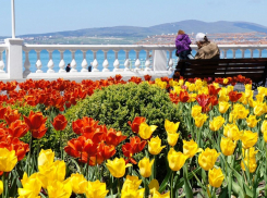  Анапа вошла в топ-10 городов для путешествий на 8 Марта