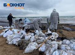 Объем грунта с мазутом может вырасти до 200 тыс. тонн - министр экологии РФ прибыл в Анапу