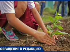 Анапчанин Владимир Сергеевич предлагает высадить деревья на улице Ленина