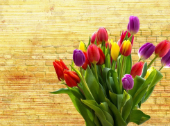 Анапские флористы раскрыли секреты, о чём могут рассказать цветы