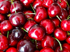 Стало известно, почему в этом году цены на черешню такие высокие