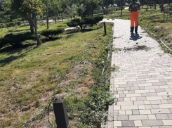 Неизвестные испортили освещение в популярном парке Анапы
