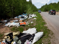За мусор из машины анапчанам грозит штраф до 200 тысяч рублей