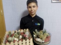  Михаил Хозиков, участник конкурса «Удачный сезон», выращивает кактусы и суккуленты