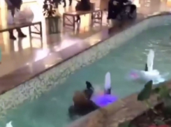 В Анапе ребенок упал в фонтан в торговом центре