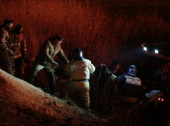 Пожар в Анапских плавнях ликвидировали 