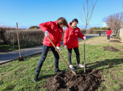 25 лип украсили сквер Аванесова в Анапе
