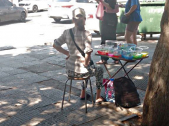 Бесстрашные предприниматели: незаконная торговля черепашками в Анапе снова на взлете 