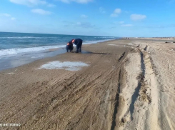 Появились новые данные мониторинга пляжей Анапы 