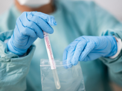 В крае 4 мая 96 случаев заражения коронавирусом. В Анапе новых нет