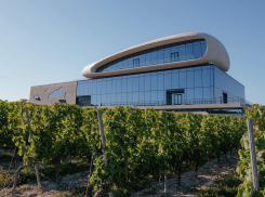 Анапский «Скалистый берег» объявлен лучшей винодельней года России