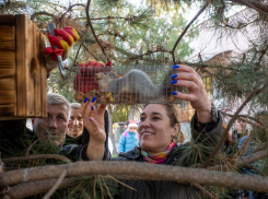 В сквере Гудовича Анапы поселили новых пушистых жителей - белок