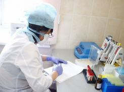 За сутки в крае умерли 14 пациентов с COVID-19. Анапчан среди них нет