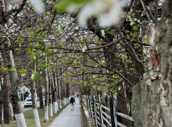 В Международный день детской книги в Анапе облачно