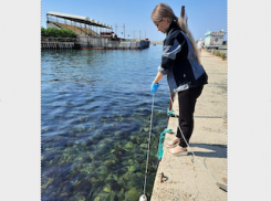 Что выявили пробы морской воды рядом с анапским дельфинарием на Утрише