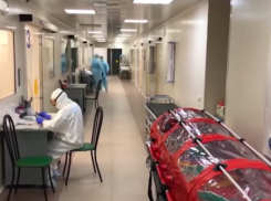 Актуальная сводка по COVID-19 на 28 мая: в крае 76 новых случаев, в Анапе - ноль