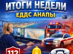 Более 6,6 тысячи вызовов обработала ЕДДС Анапы за неделю