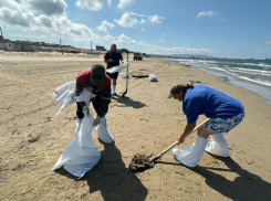 Стали известны результаты мониторинга пляжей Анапы 26 июня 