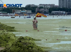 «Туристы против камки»: как выглядит другая часть Центрального пляжа Анапы